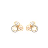 get-artificial-shades-ear-stud-earrings